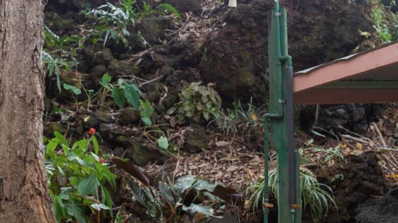 Photo of Outdoor in Puna Palisades