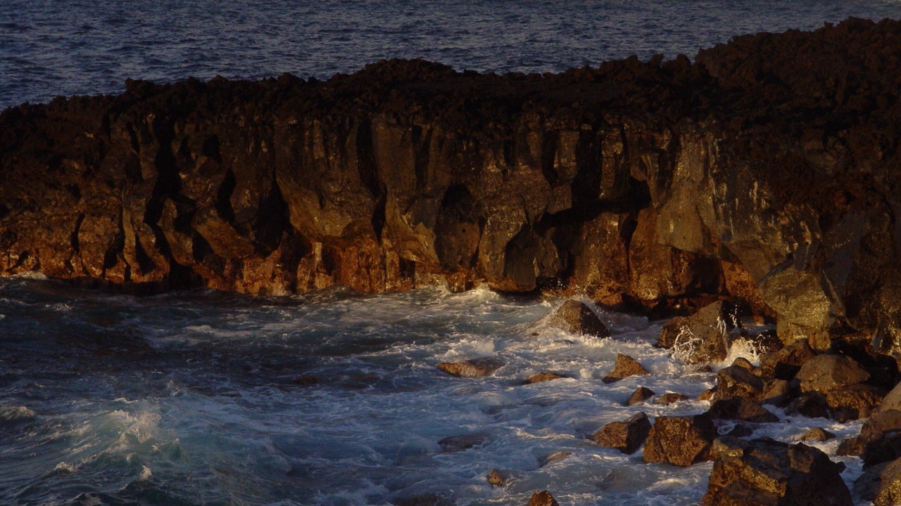 Photo of Others in Puna Palisades