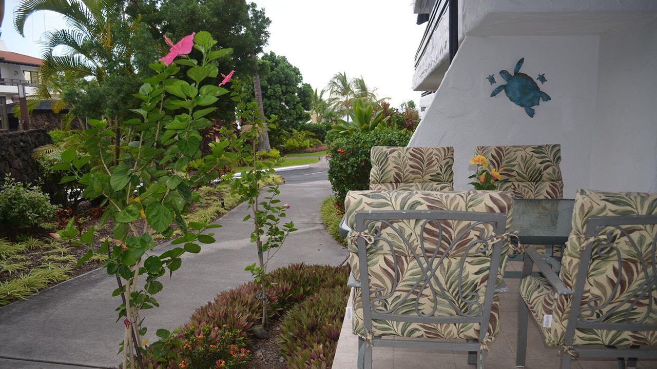 Photo of Outdoor in Kailua-Kona