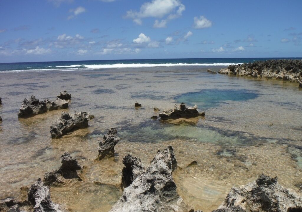 Photo of Others in Kahuku