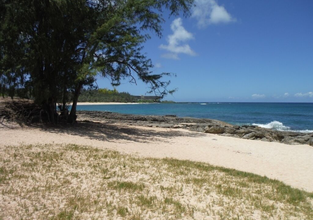 Photo of Others in Kahuku
