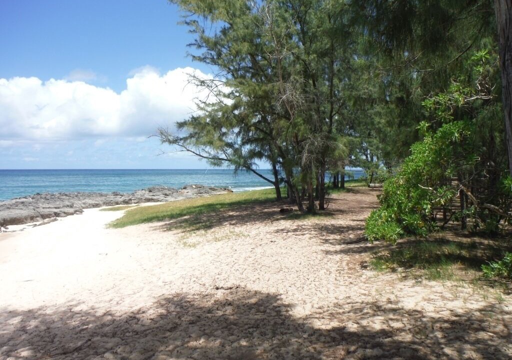 Photo of Others in Kahuku