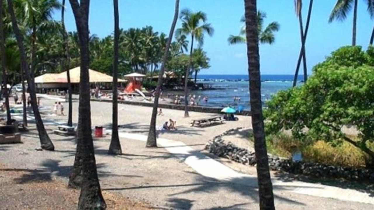 Photo of Others in Kahaluu Bay