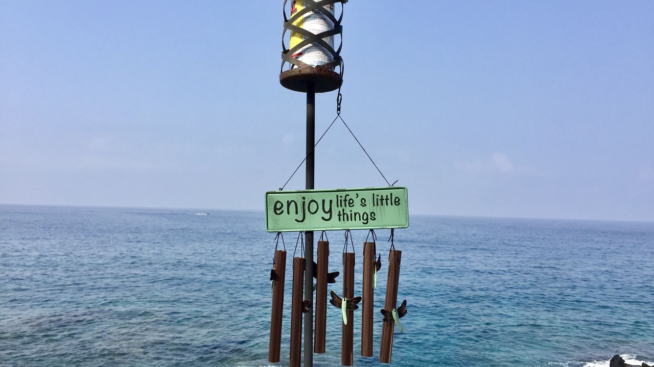 Photo of Others in Kahaluu Bay