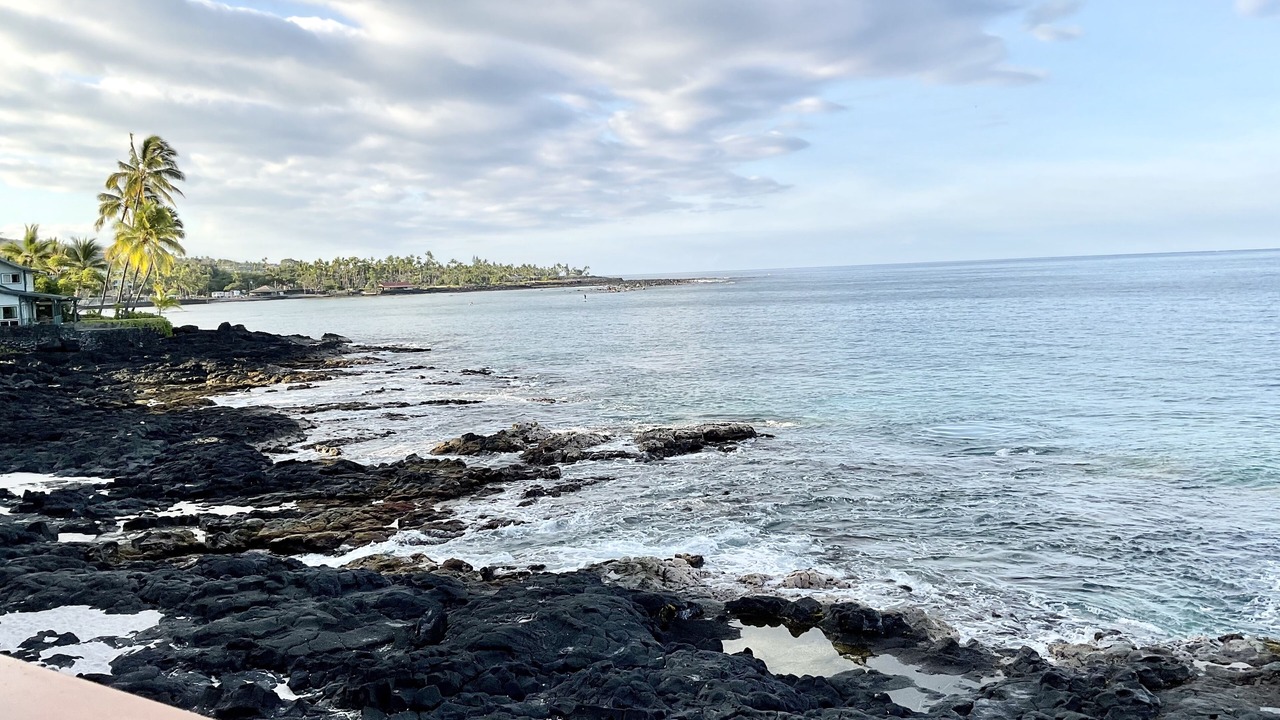 Photo of Others in Kahaluu Bay
