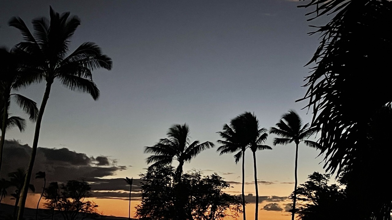 Photo of Others in Kihei