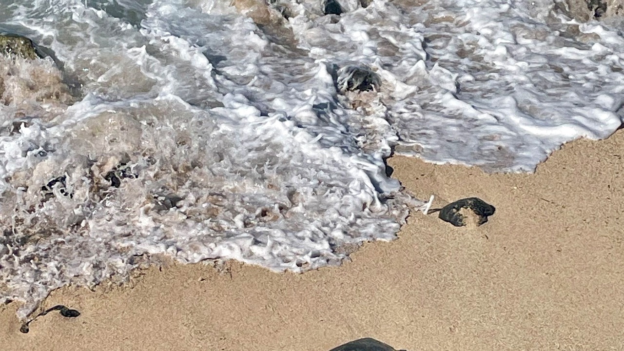 Photo of Others in Kihei