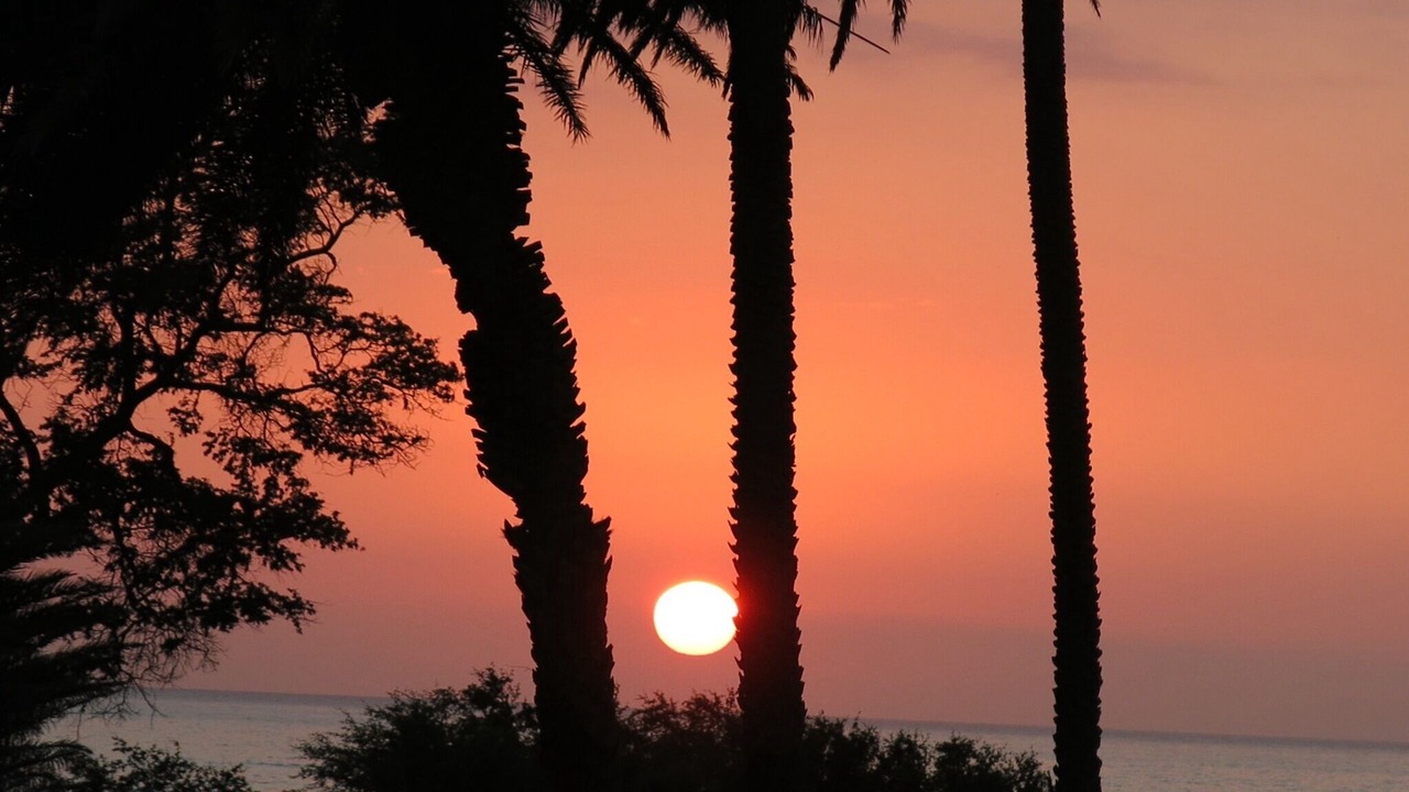 Photo of Others in Kihei