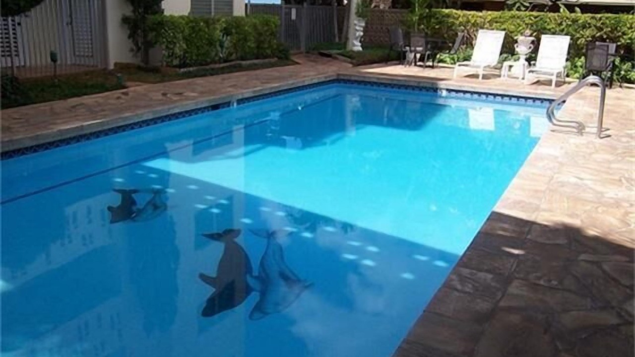 Photo of Outdoor in Makaha
