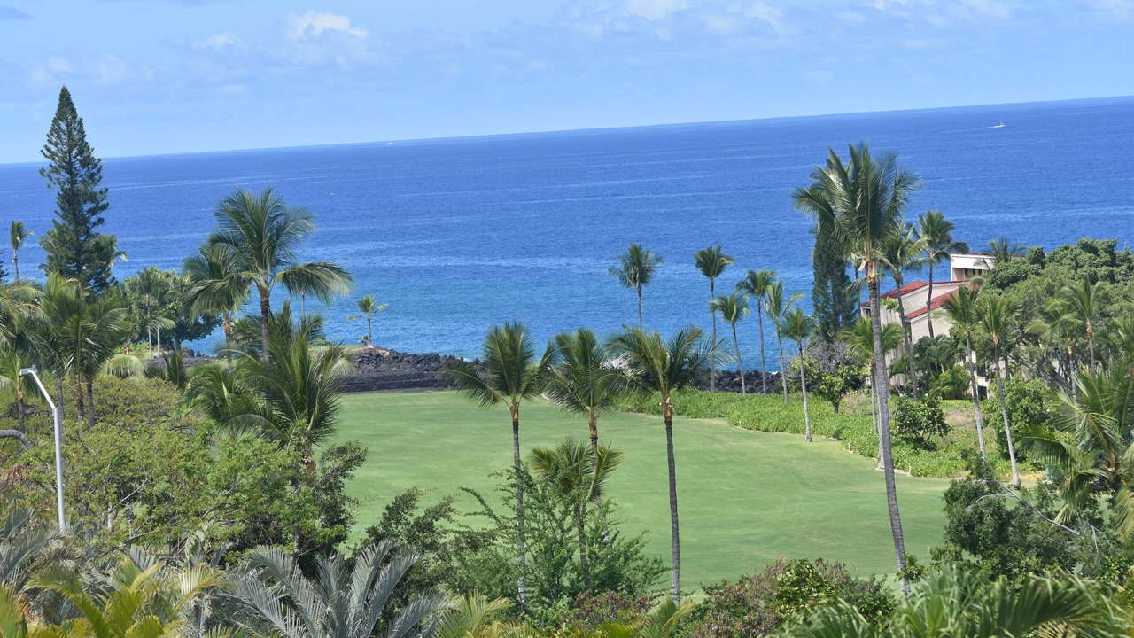 Photo of Others in Kahaluu Bay