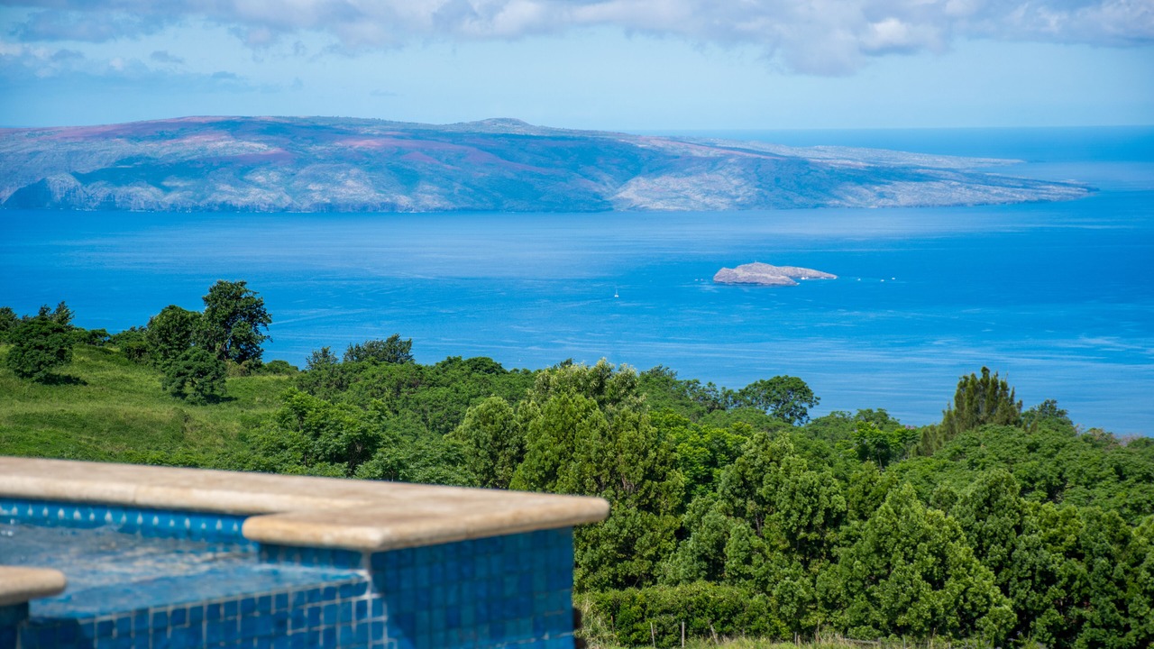 Photo of Others in Wailea