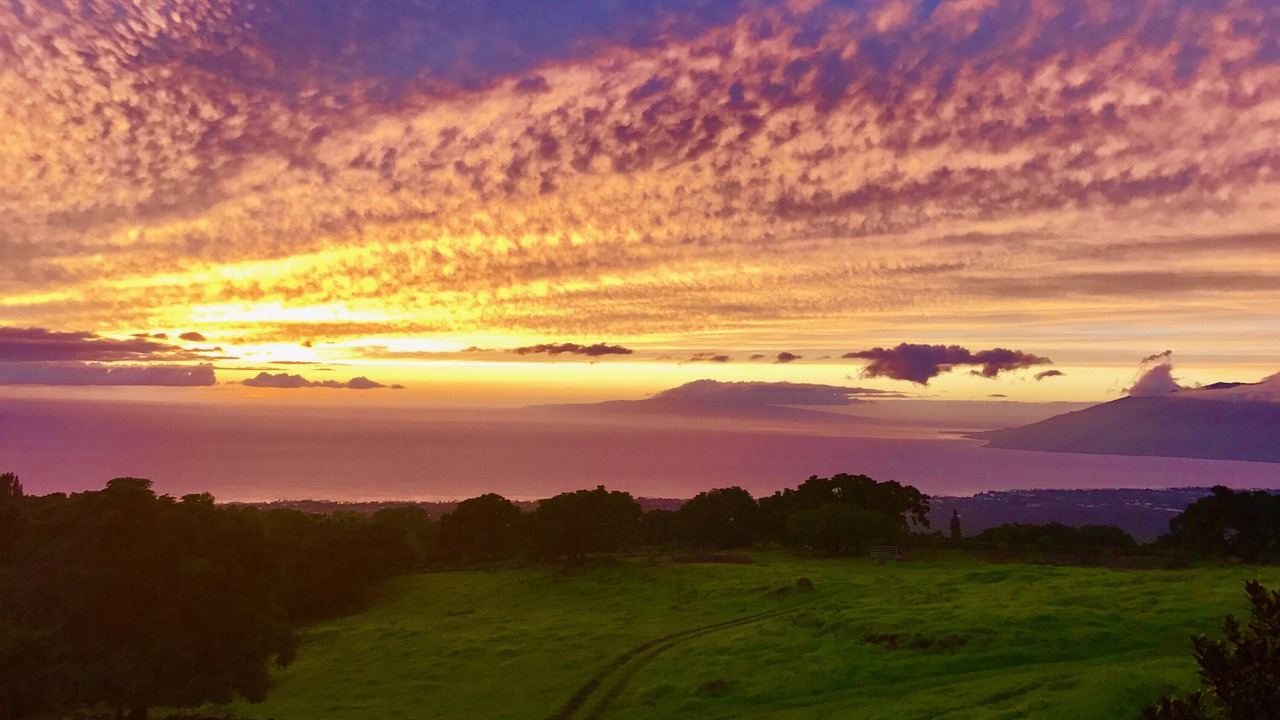 Photo of Others in Wailea