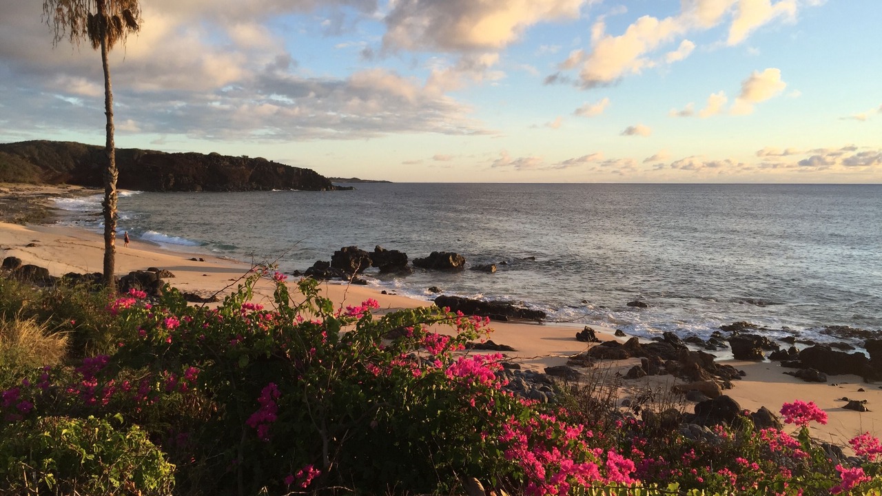 Photo of Others in Maunaloa