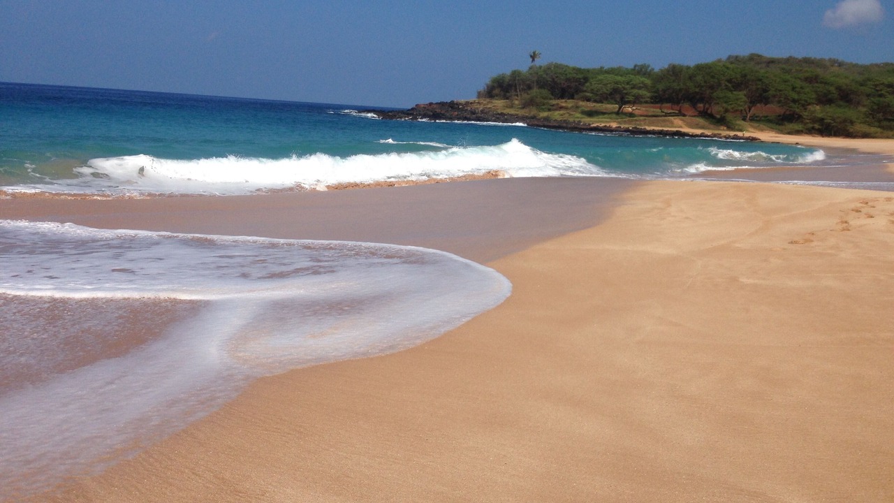 Photo of Others in Maunaloa
