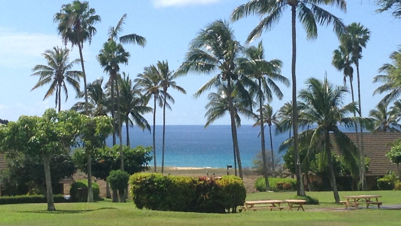 Photo of Others in Maunaloa