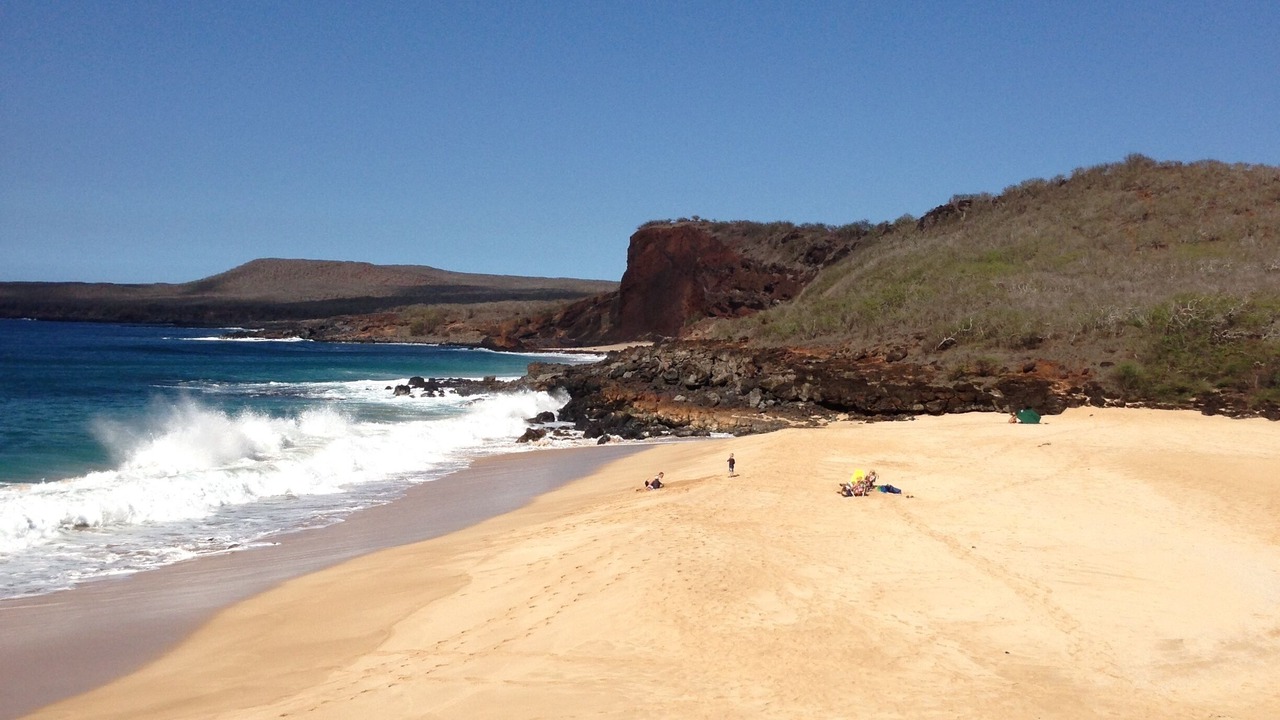 Photo of Others in Maunaloa