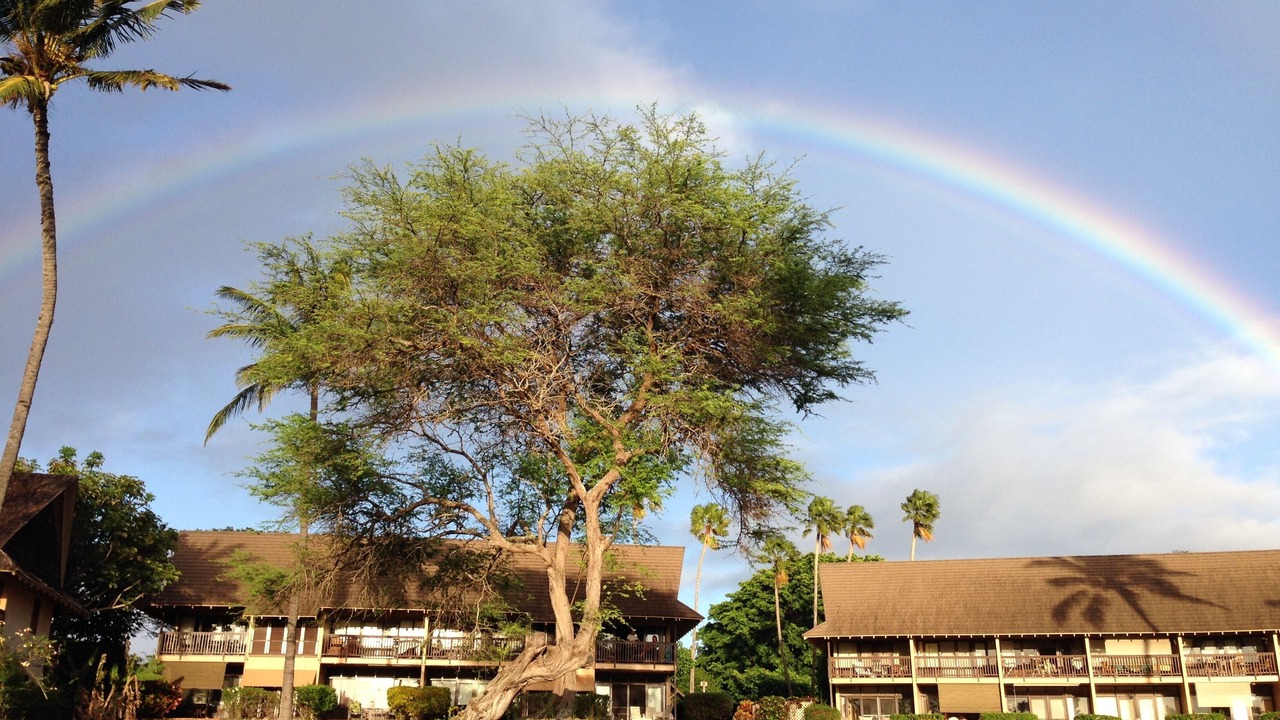 Photo of Others in Maunaloa