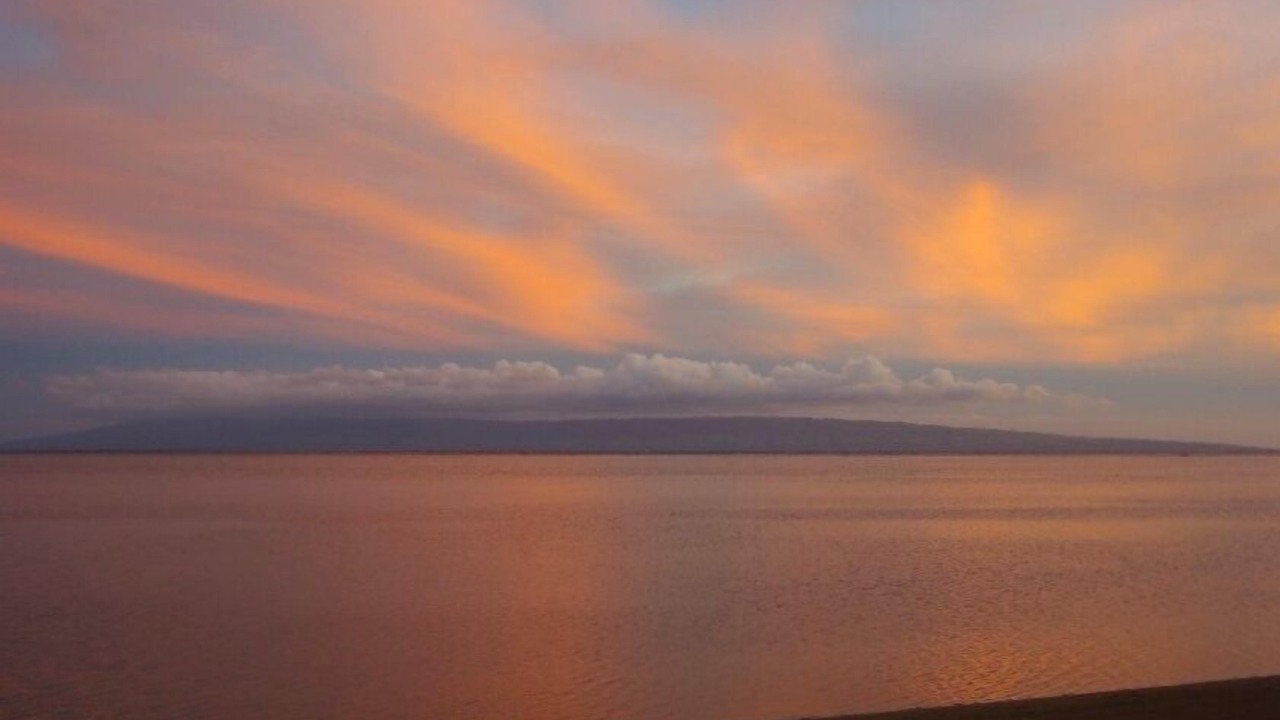 Photo of Others in Maunaloa