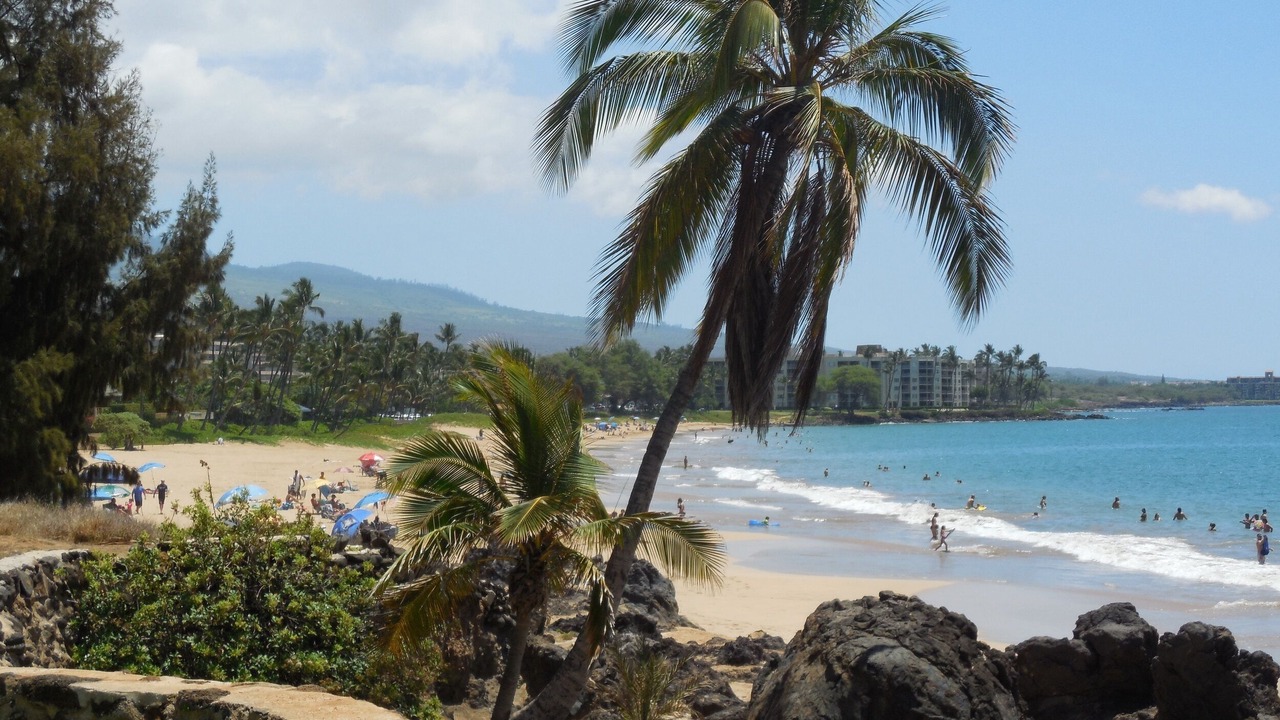 Photo of Others in Kihei