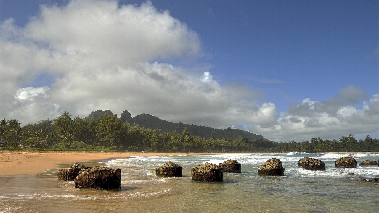 Photo of Others in Anahola