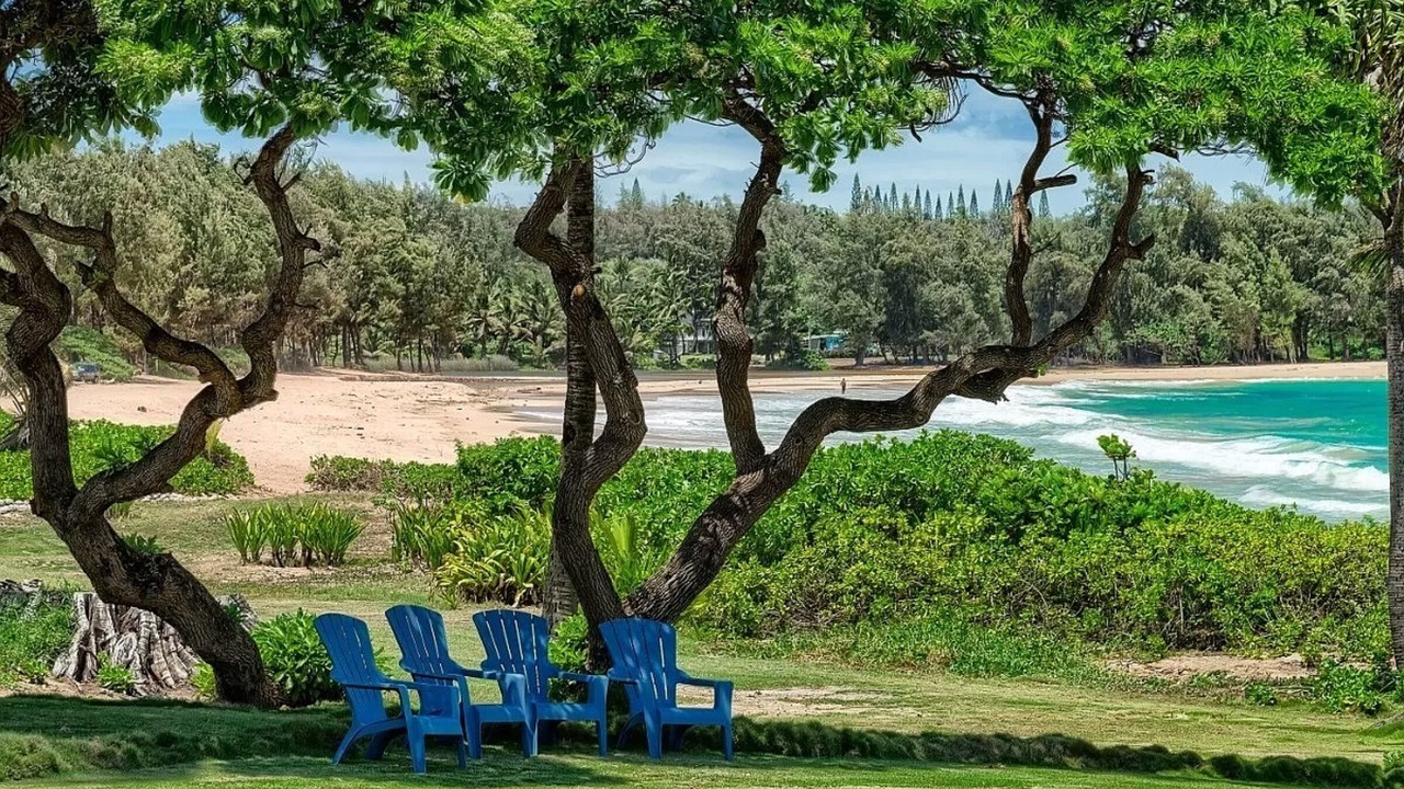 Photo of Outdoor in Anahola