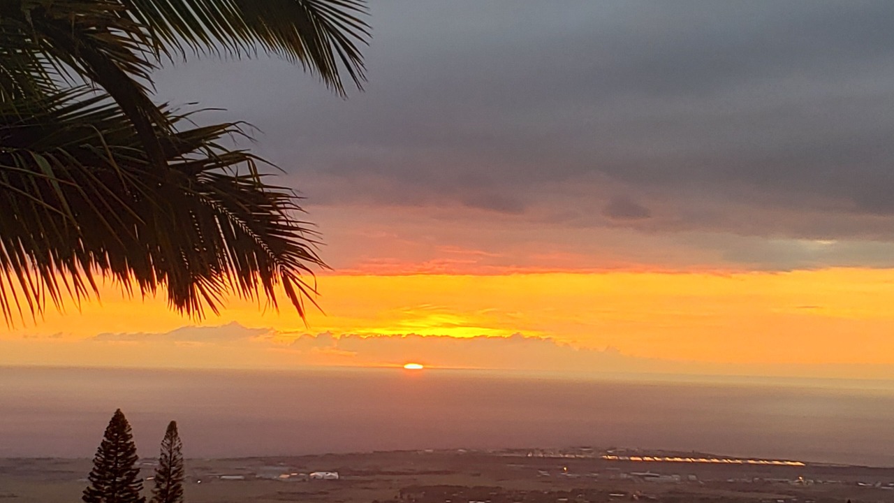 Photo of Others in Kona Palisades