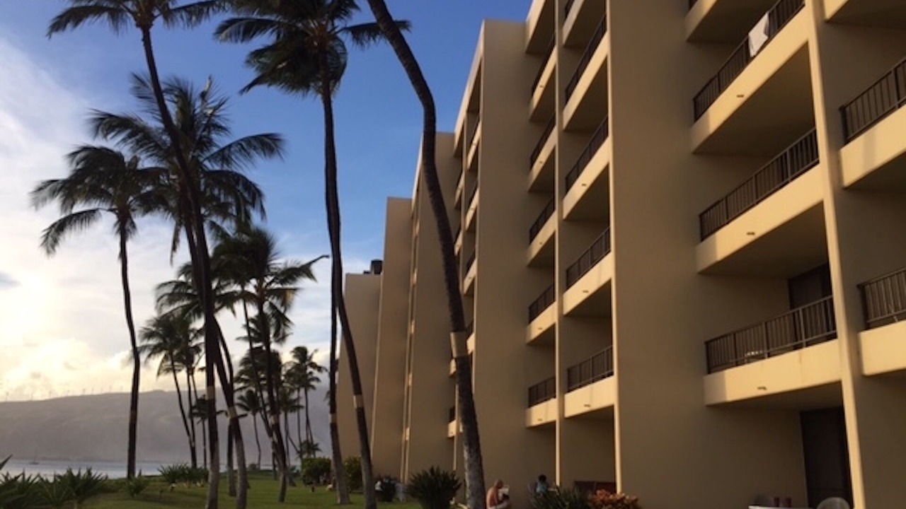 Photo of Outdoor in Kihei