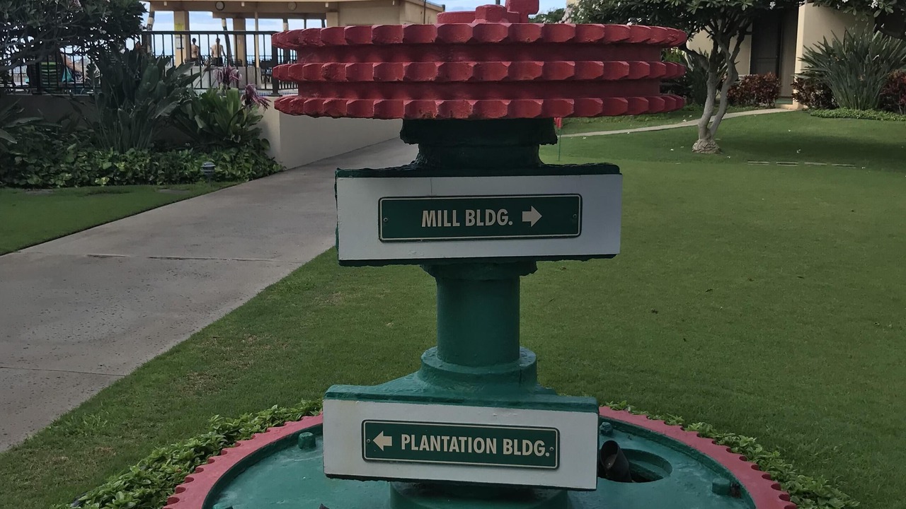 Photo of Outdoor in Kihei