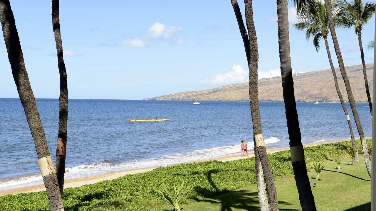 Photo of Others in Kihei