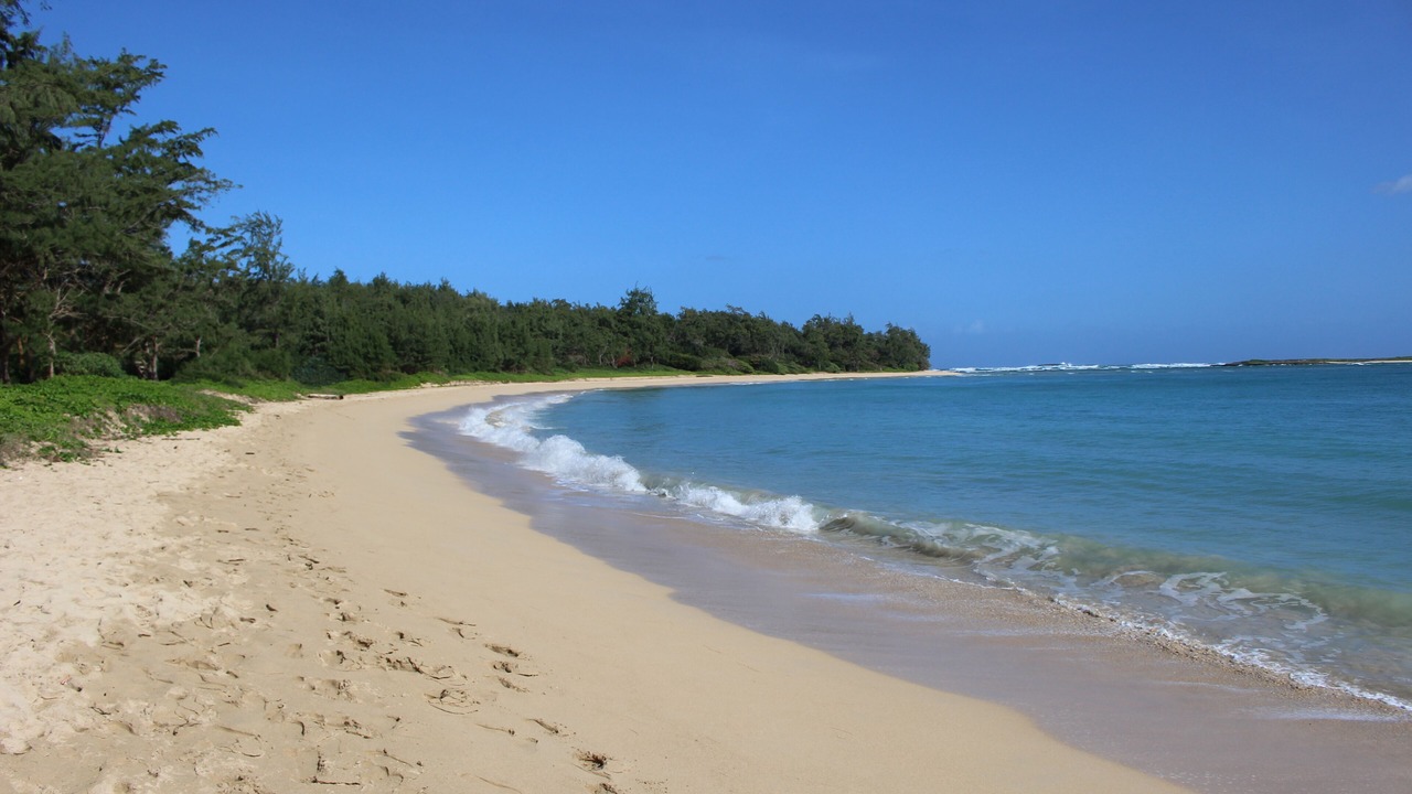 Photo of Others in Laie