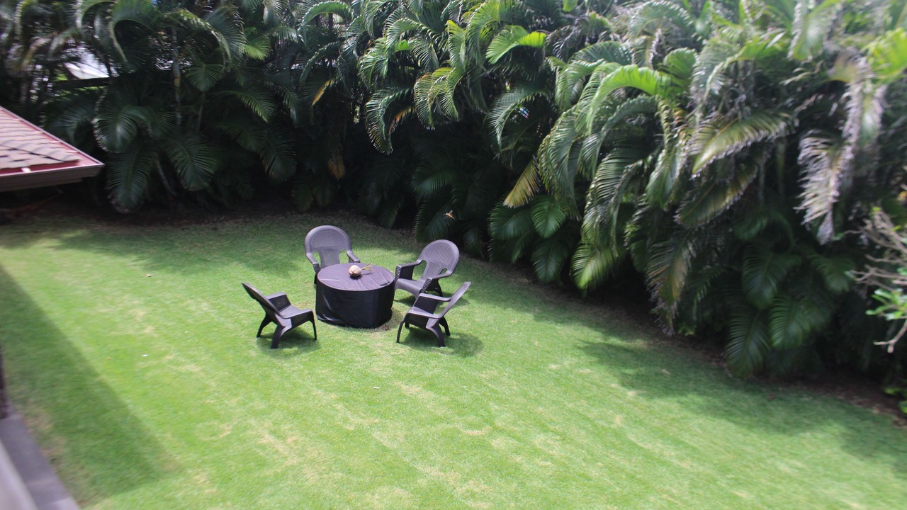 Photo of Others in Laie