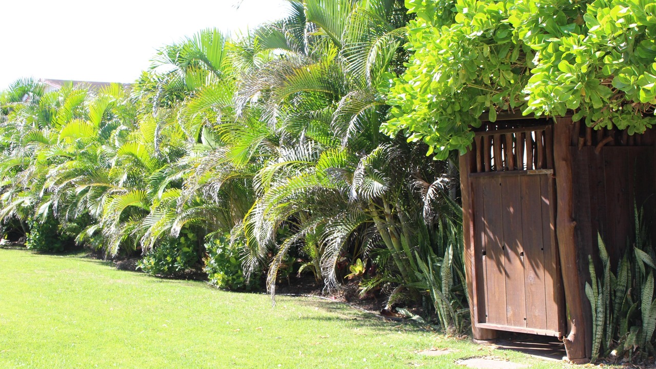 Photo of Outdoor in Laie