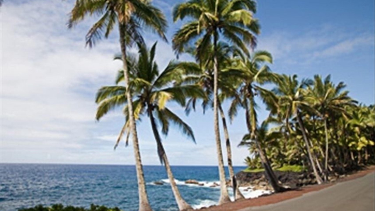 Photo of Others in Puna Palisades