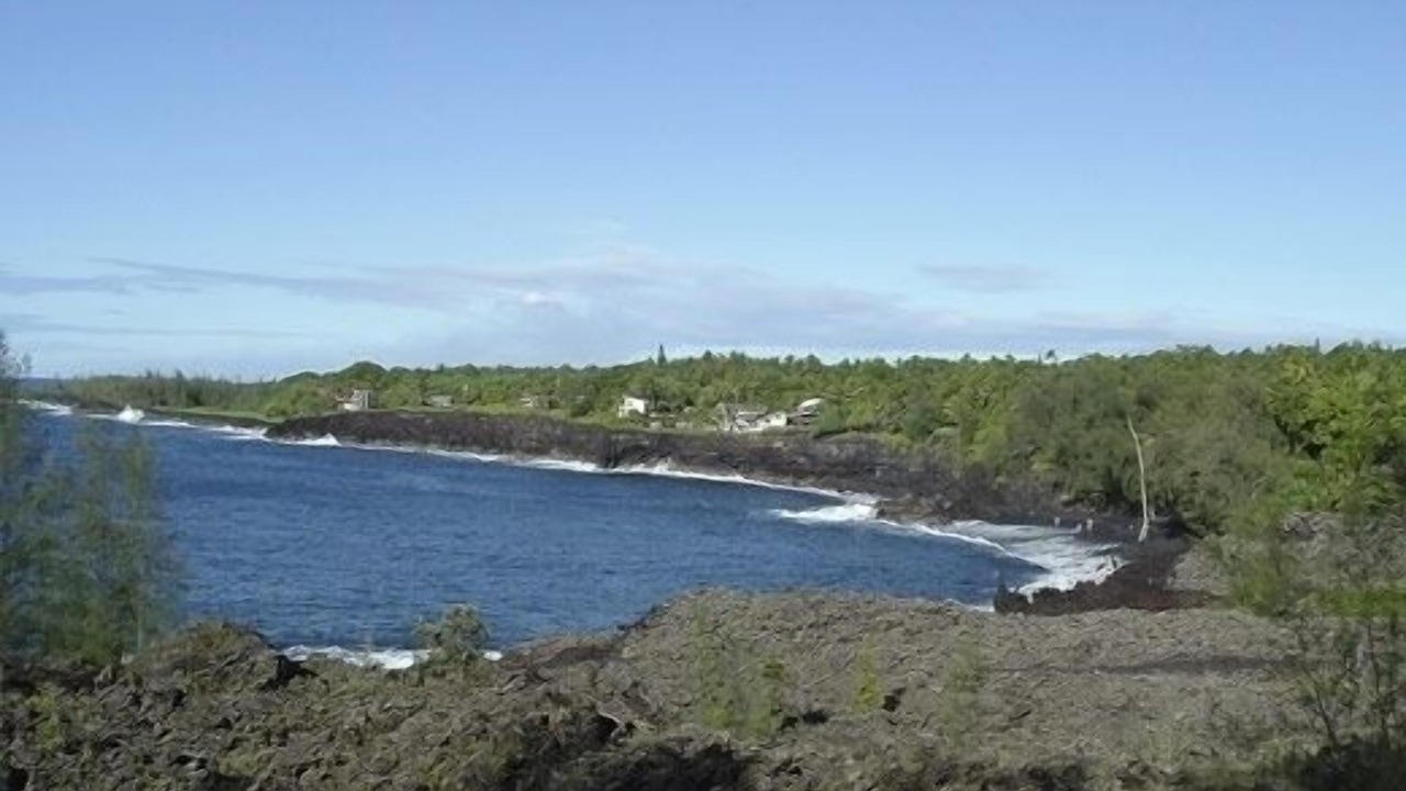 Photo of Others in Puna Palisades