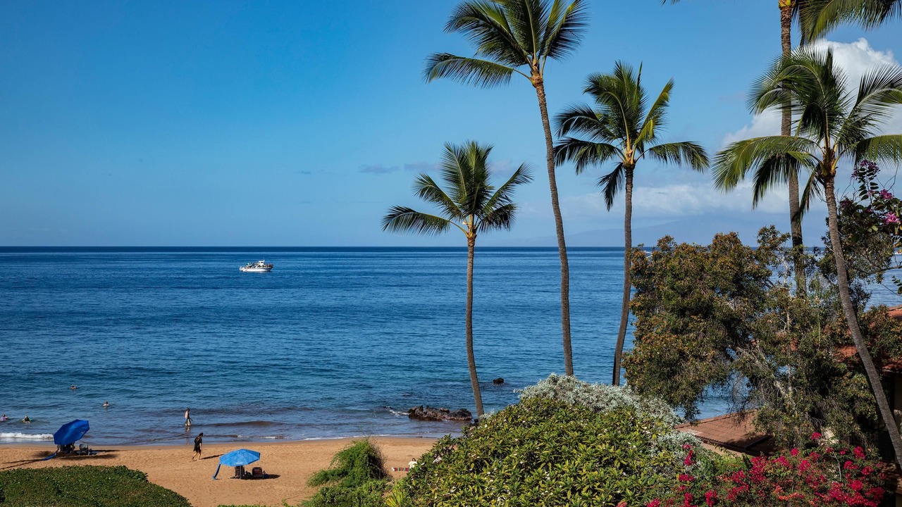 Photo of Others in Wailea