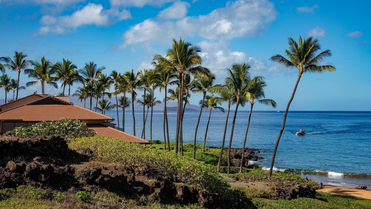 Photo of Others in Wailea