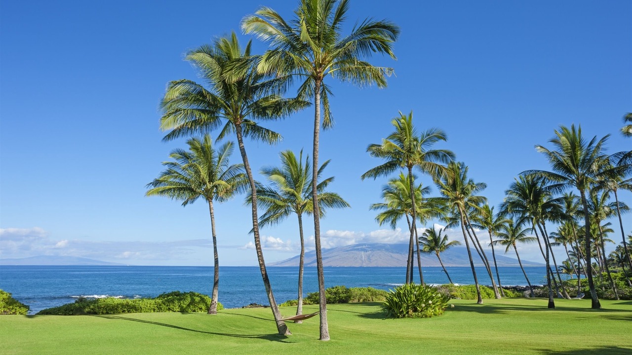 Photo of Others in Wailea