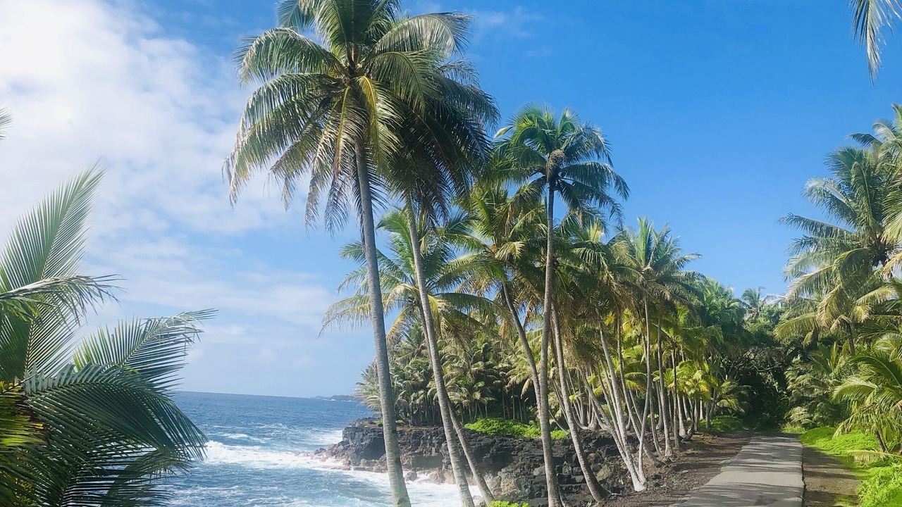 Photo of Others in Kehena Beach Estates