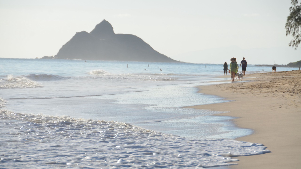 Photo of Others in Kailua