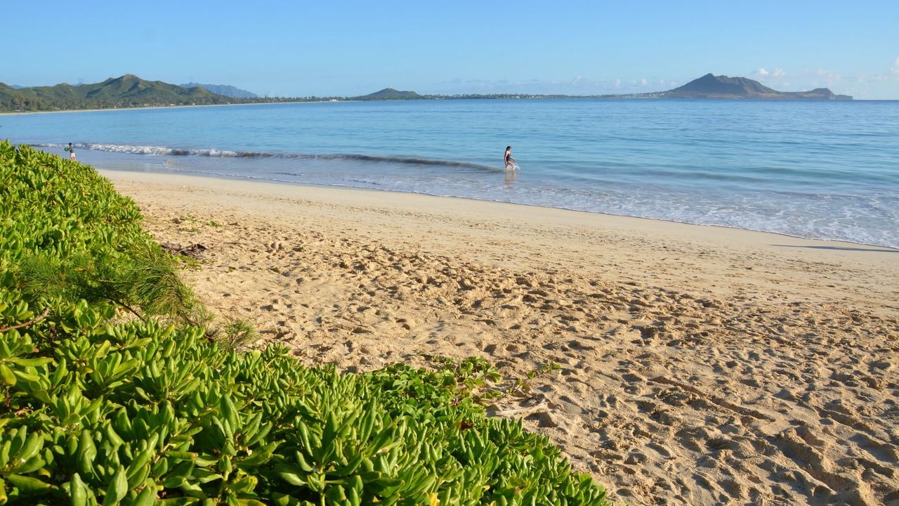 Photo of Others in Kailua