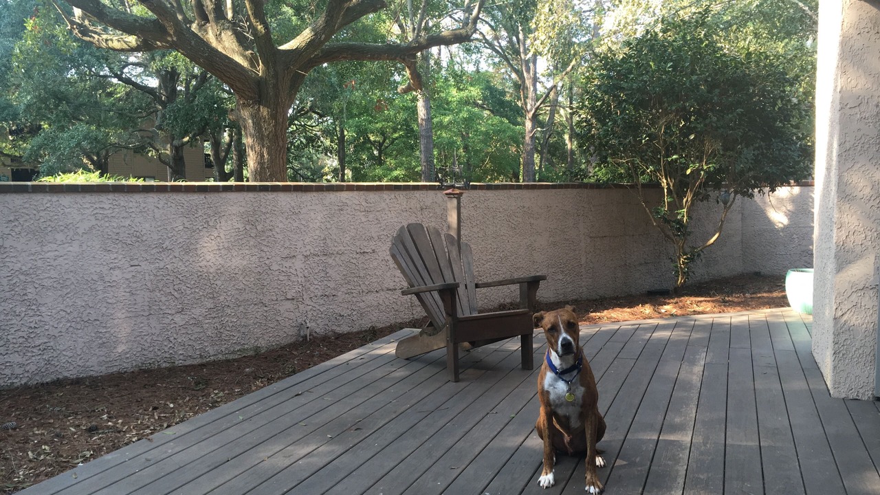 Photo of Others in Folly Field