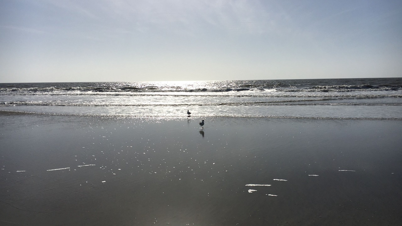 Photo of Others in Folly Field