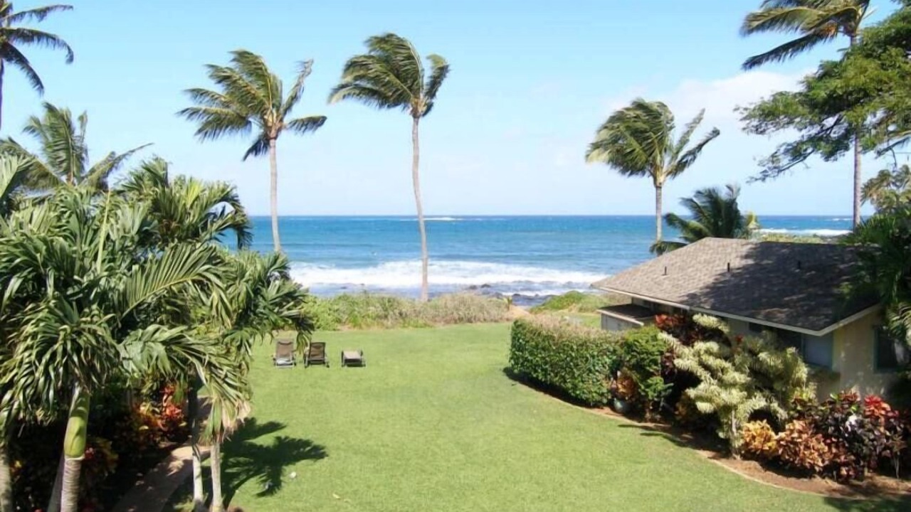 Photo of Others in Paia