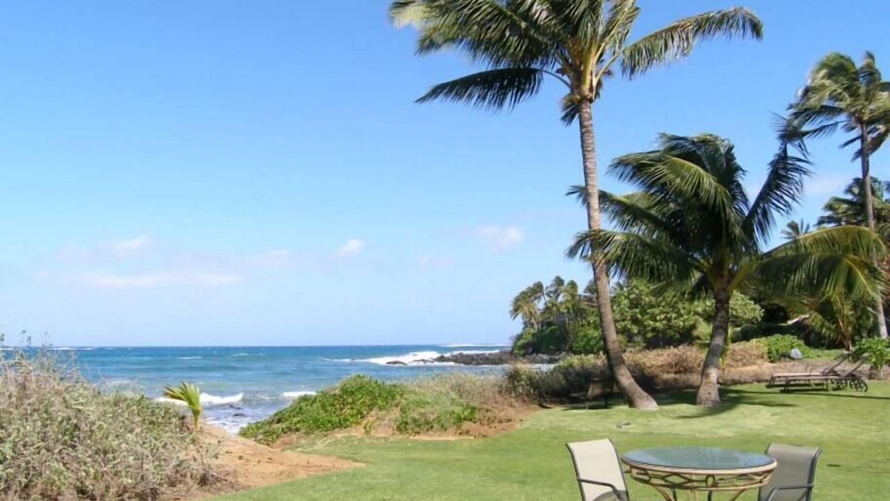 Photo of Others in Paia