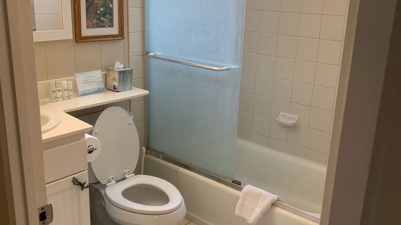 Photo of Bathroom in Paia