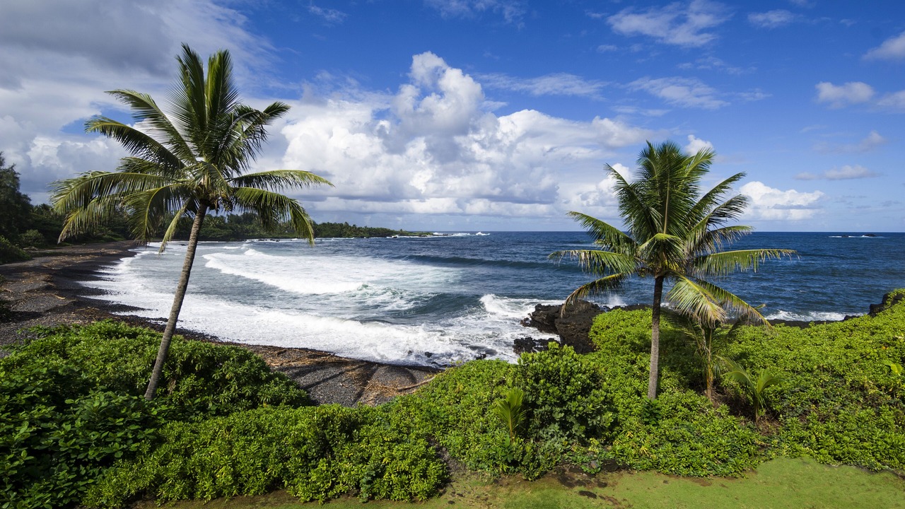 Photo of Others in Hana