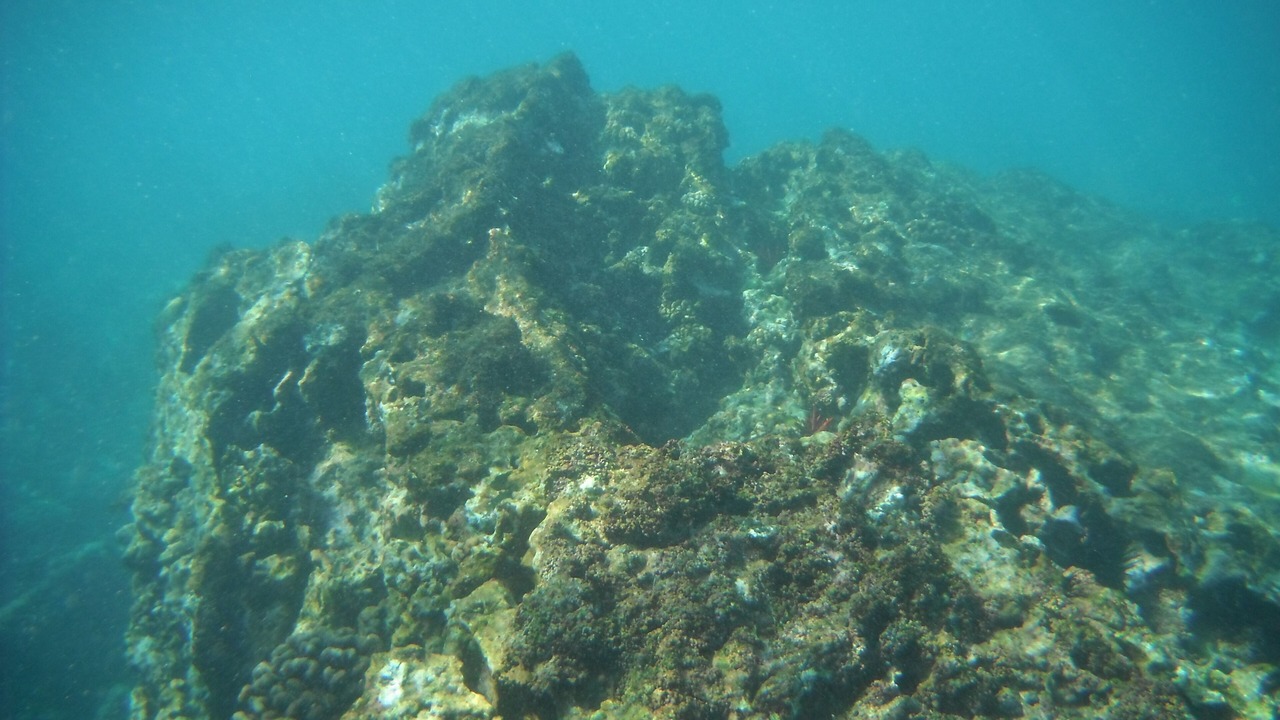 Photo of Others in Kailua-Kona