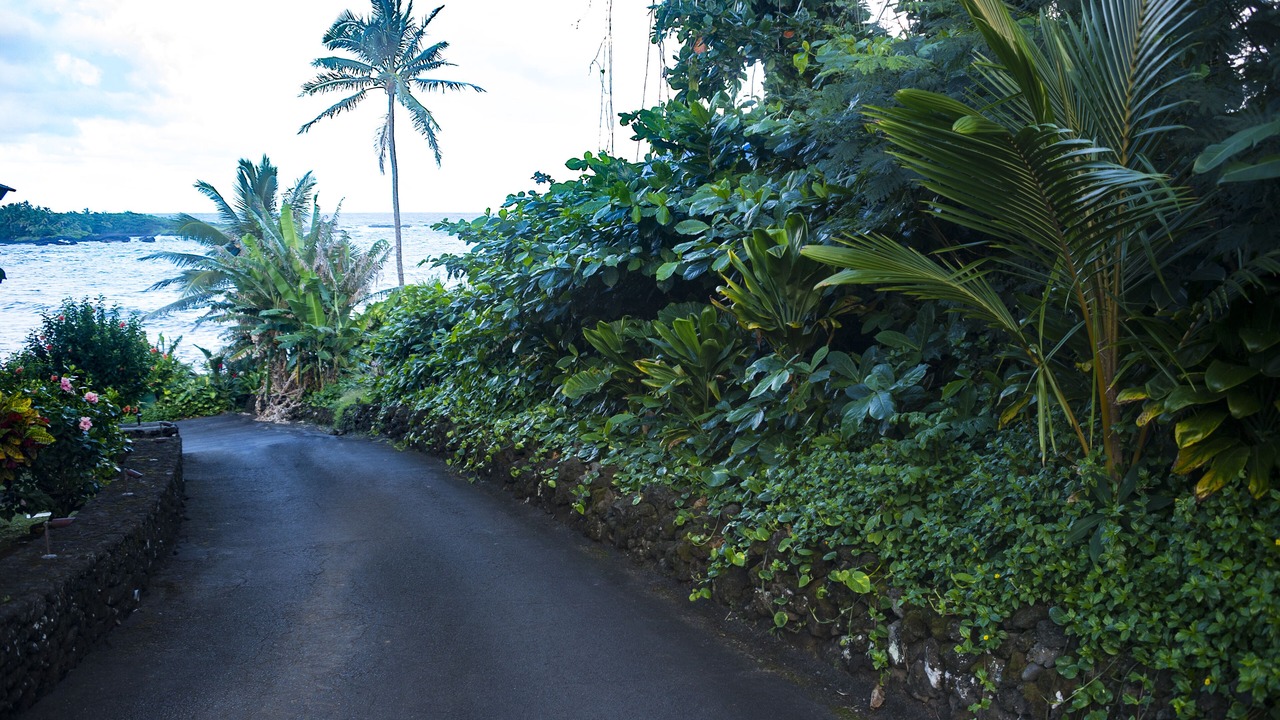Photo of Others in Hana