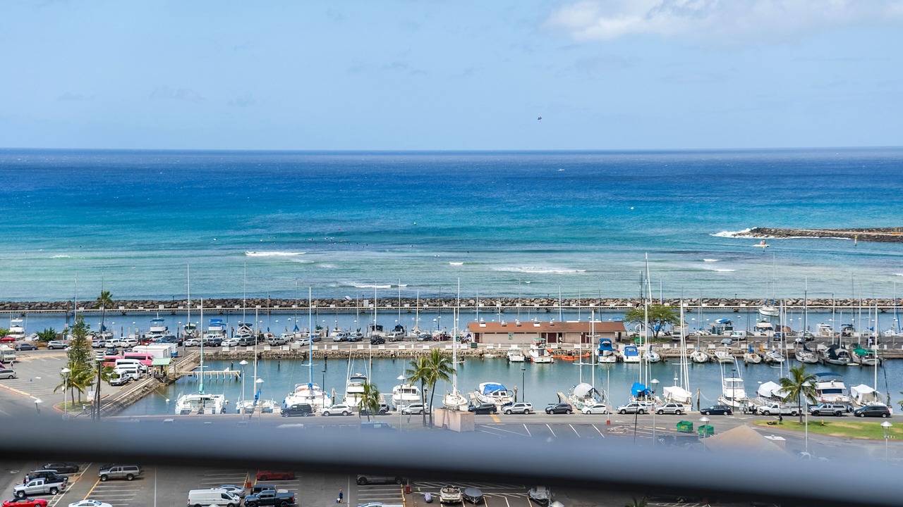Photo of Others in Waikiki