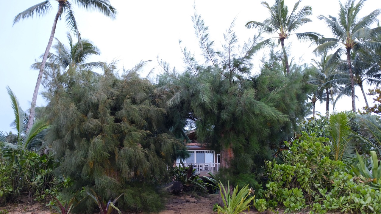 Photo of Outdoor in Hanalei
